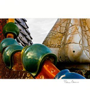 Dragon On The Rooftop Barcelona Spain Photographic Art Print 9x12 Signed Matting